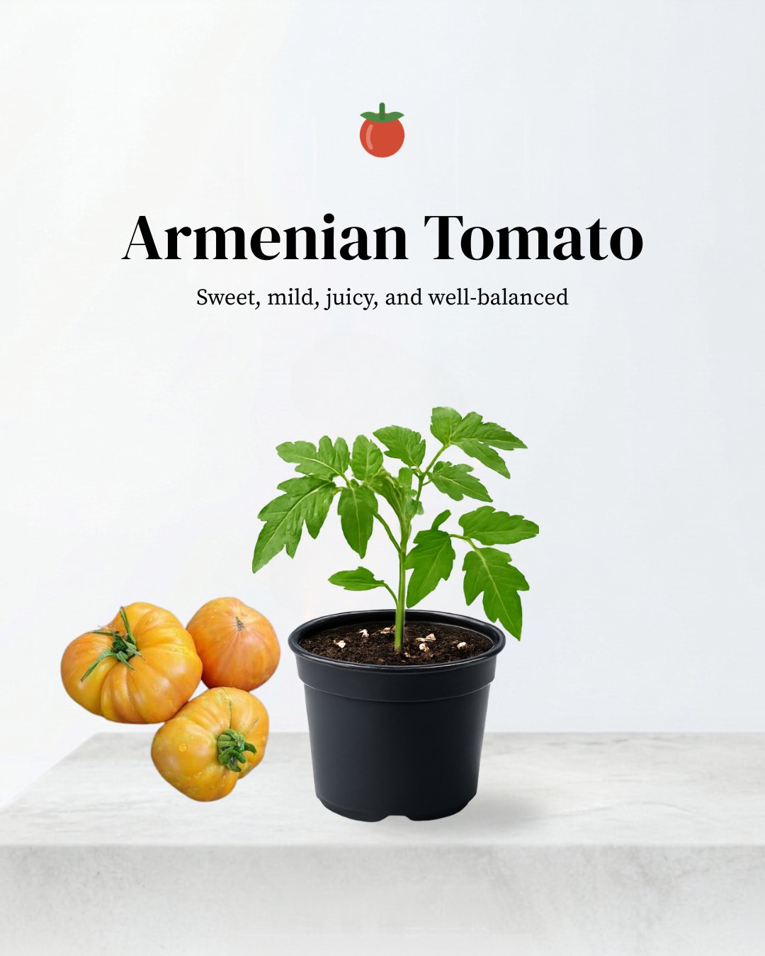 Armenian Tomato