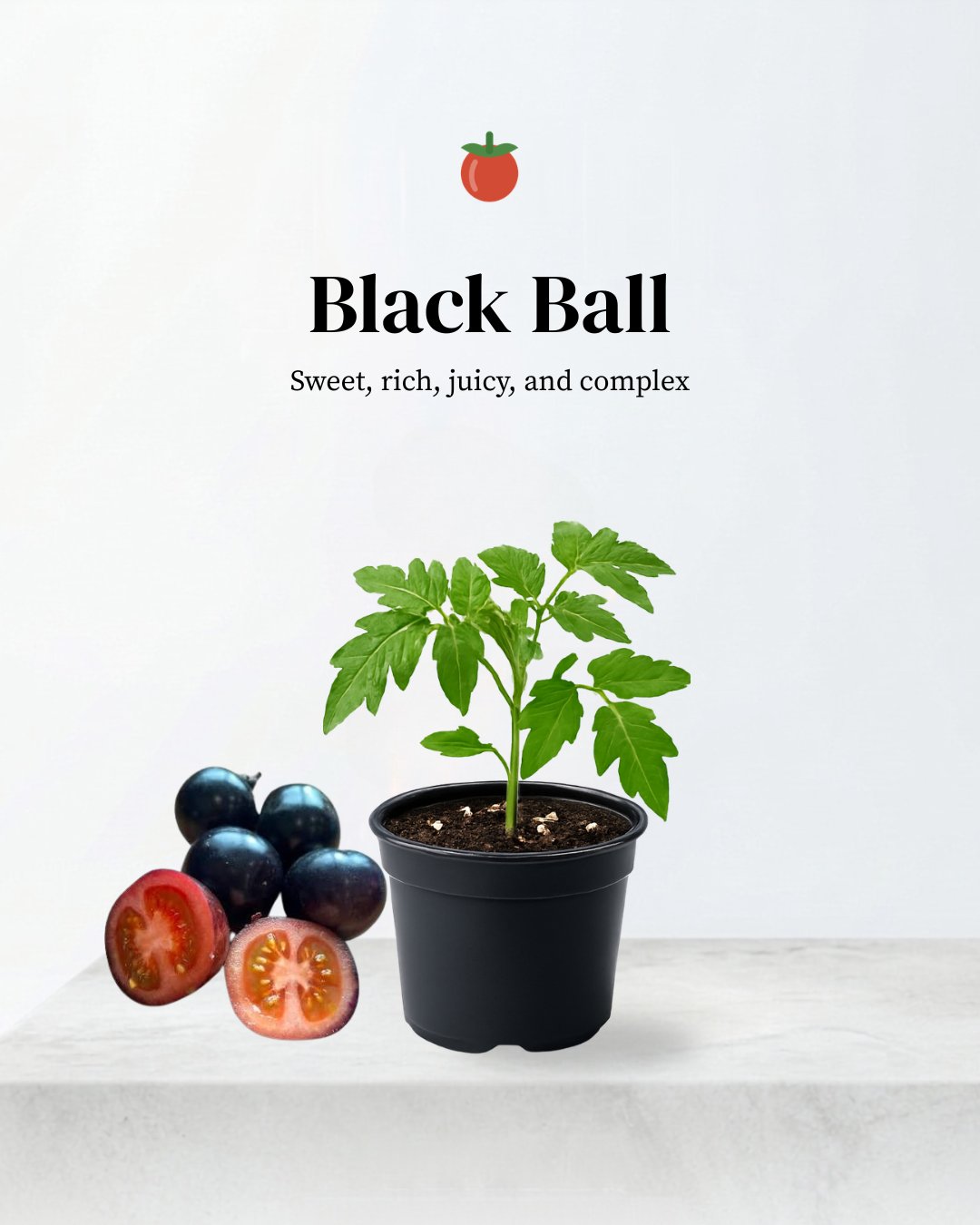 Black Ball