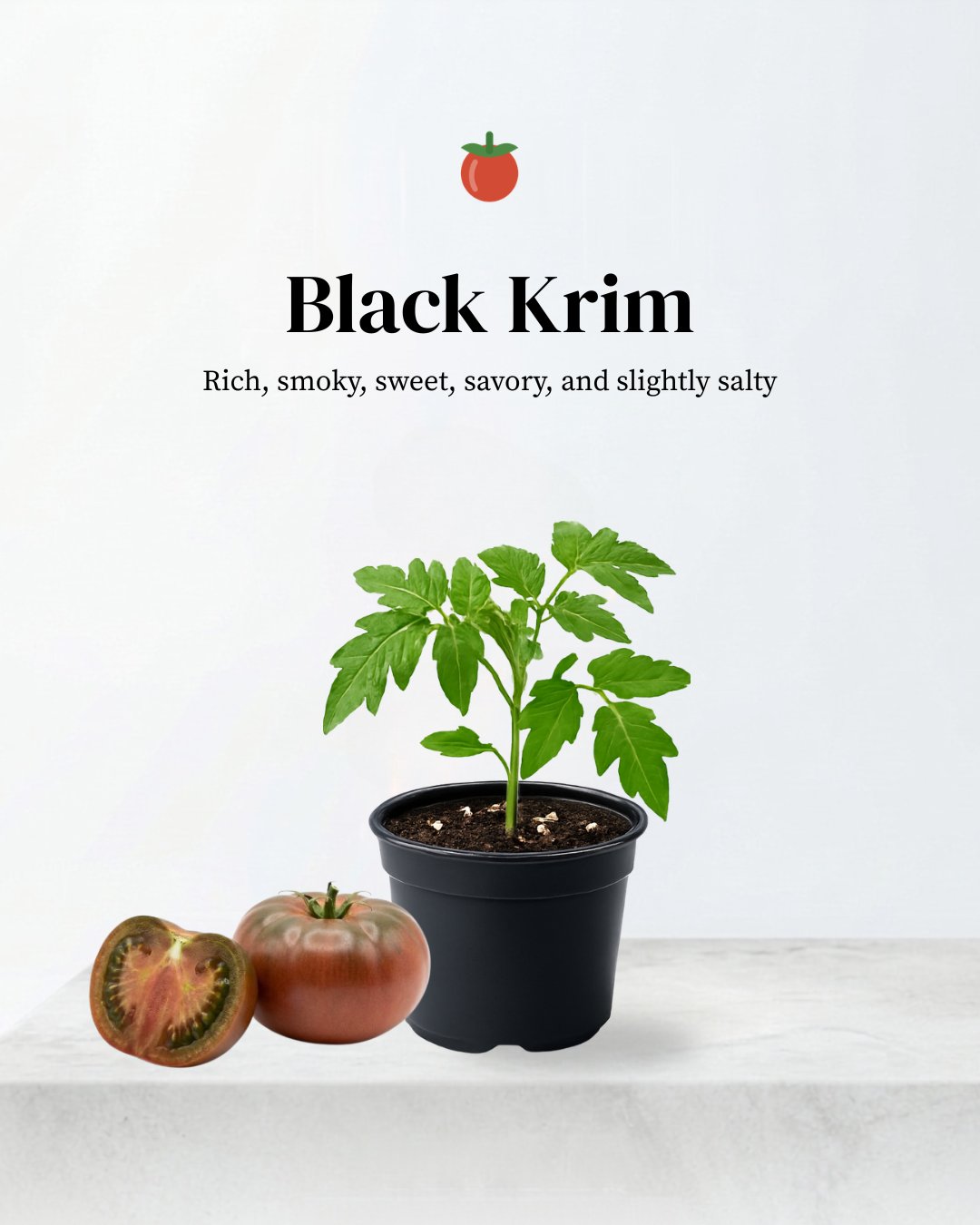 Black Krim Tomato