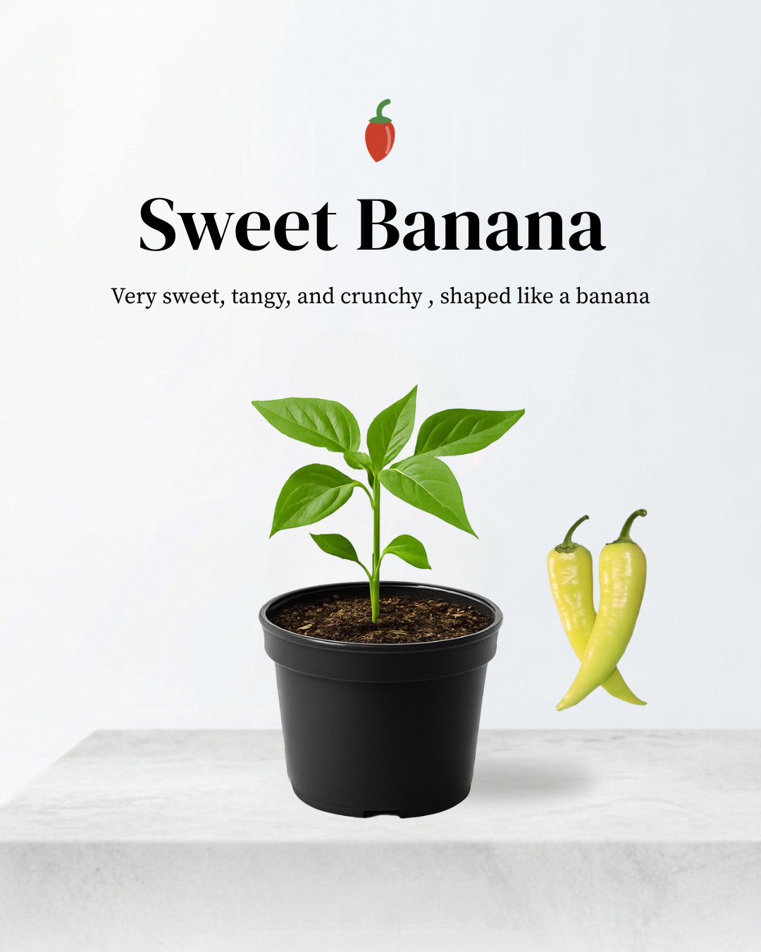 Sweet Banana Pepper