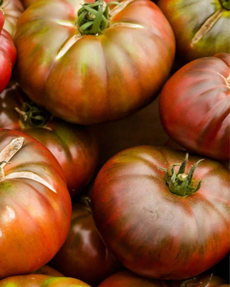 Black Krim Tomato